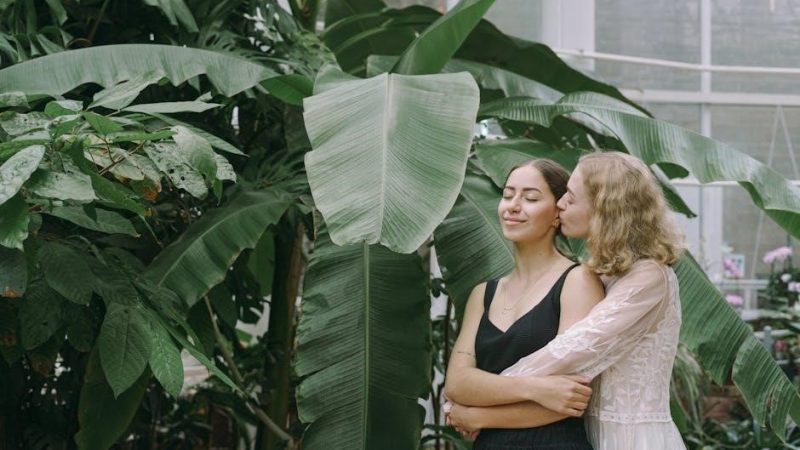 the widow’s guide to sex and dating