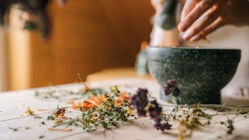 apc back-ups pro 1500 manual pdf