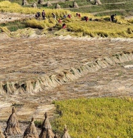 nesco american harvest dehydrator manual