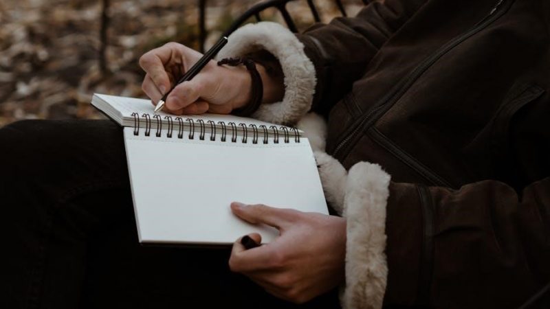 the shadow work journal pdf free download